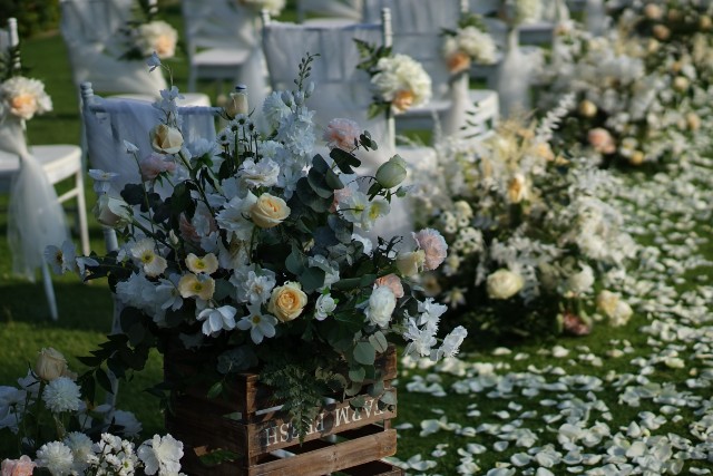 Assistência Funeral